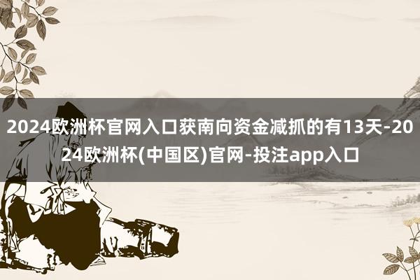 2024欧洲杯官网入口获南向资金减抓的有13天-2024欧洲杯(中国区)官网-投注app入口