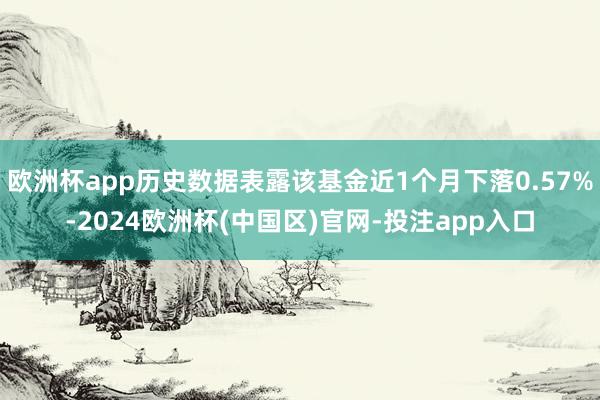 欧洲杯app历史数据表露该基金近1个月下落0.57%-2024欧洲杯(中国区)官网-投注app入口