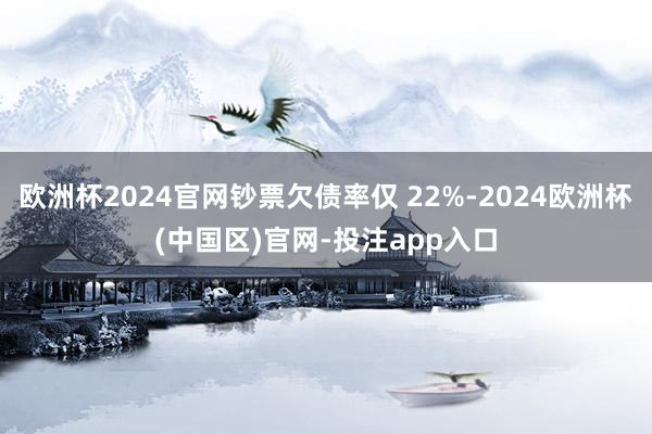 欧洲杯2024官网钞票欠债率仅 22%-2024欧洲杯(中国区)官网-投注app入口