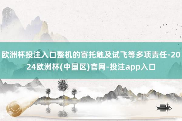 欧洲杯投注入口整机的寄托触及试飞等多项责任-2024欧洲杯(中国区)官网-投注app入口