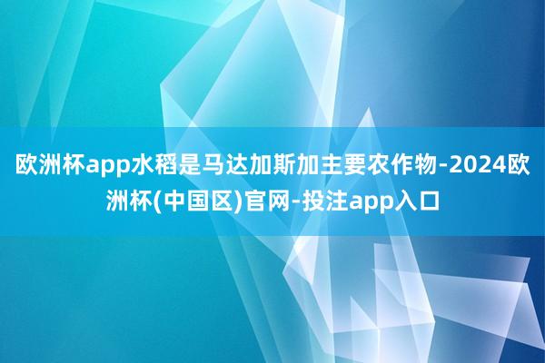 欧洲杯app水稻是马达加斯加主要农作物-2024欧洲杯(中国