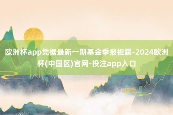 欧洲杯app凭据最新一期基金季报袒露-2024欧洲杯(中国区