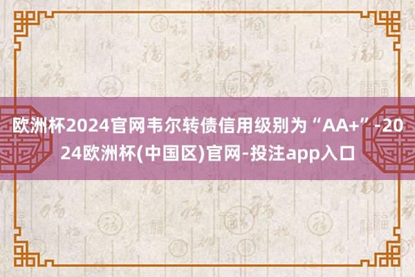 欧洲杯2024官网韦尔转债信用级别为“AA+”-2024欧洲