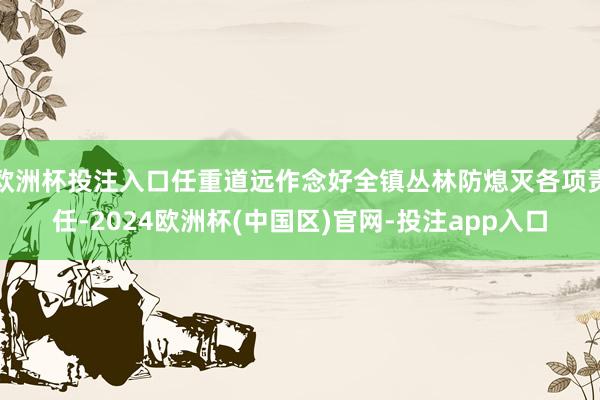 欧洲杯投注入口任重道远作念好全镇丛林防熄灭各项责任-2024