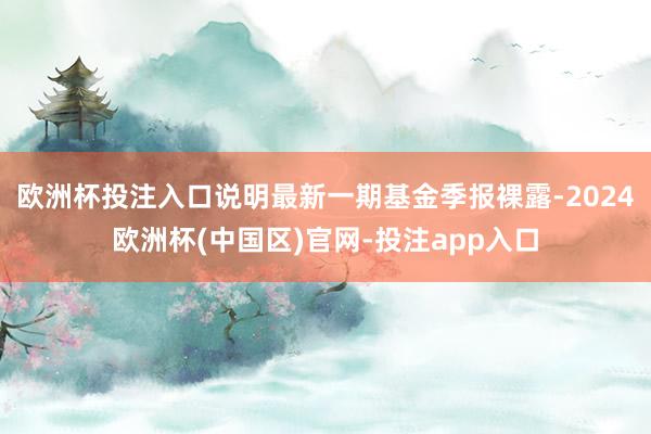 欧洲杯投注入口说明最新一期基金季报裸露-2024欧洲杯(中国