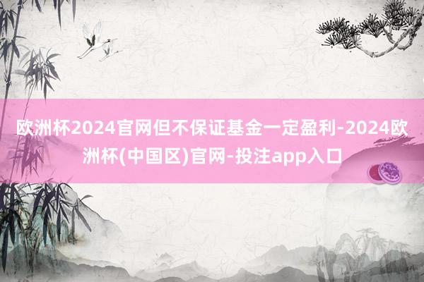 欧洲杯2024官网但不保证基金一定盈利-2024欧洲杯(中国区)官网-投注app入口