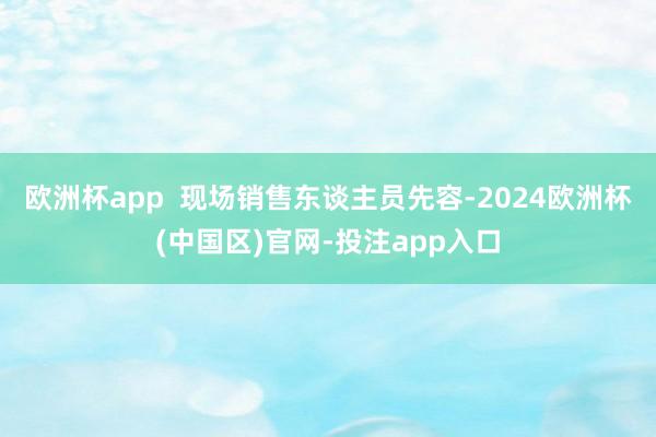 欧洲杯app  现场销售东谈主员先容-2024欧洲杯(中国区)官网-投注app入口