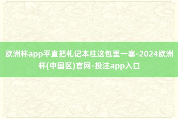 欧洲杯app平直把札记本往这包里一塞-2024欧洲杯(中国区