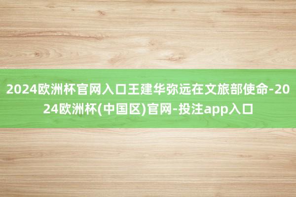 2024欧洲杯官网入口王建华弥远在文旅部使命-2024欧洲杯
