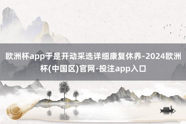 欧洲杯app于是开动采选详细康复休养-2024欧洲杯(中国区
