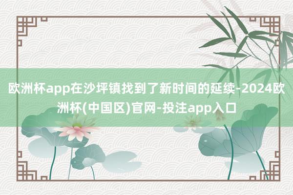 欧洲杯app在沙坪镇找到了新时间的延续-2024欧洲杯(中国