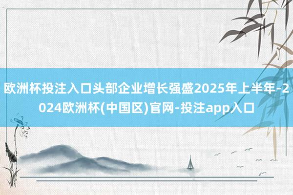 欧洲杯投注入口头部企业增长强盛2025年上半年-2024欧洲杯(中国区)官网-投注app入口