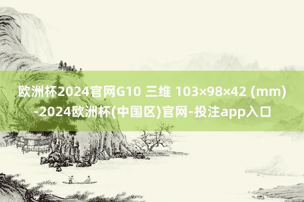 欧洲杯2024官网G10 三维 103×98×42 (mm)